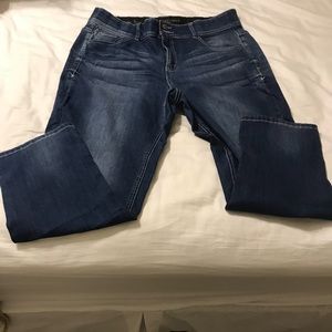 Lane Bryant jeans